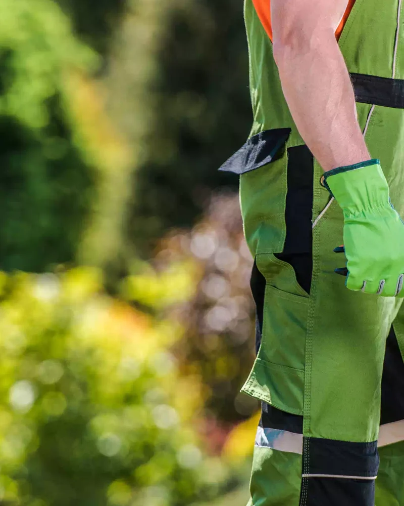 illustration-paysagiste (13)