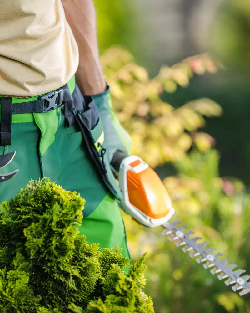 illustration-paysagiste (14)