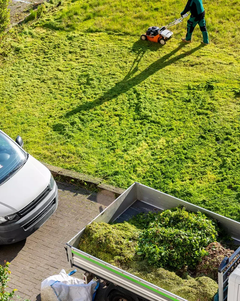 illustration-paysagiste (16)