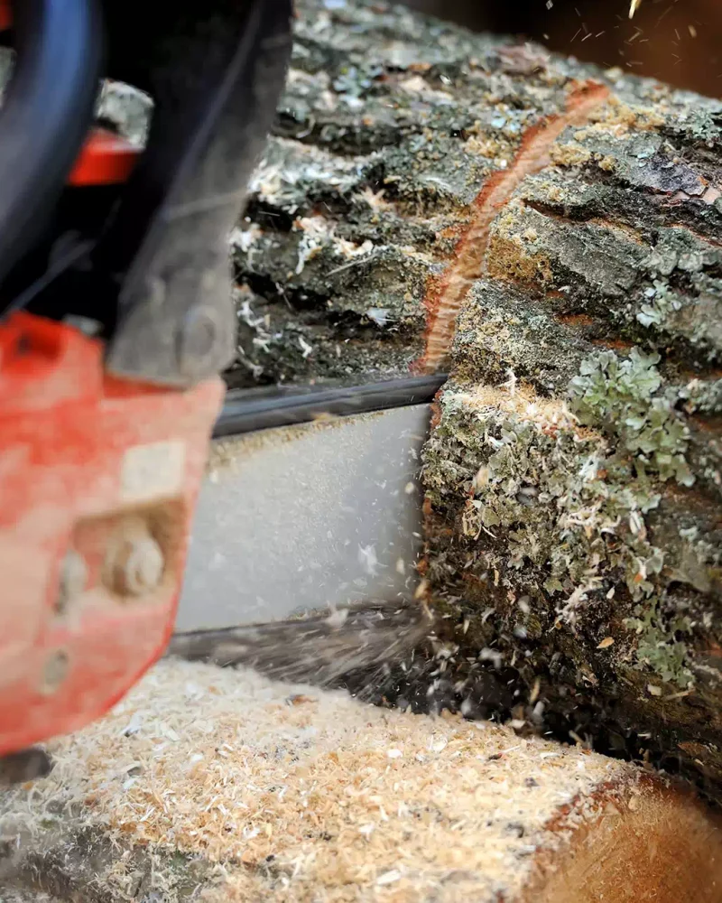 illustration-paysagiste (17)