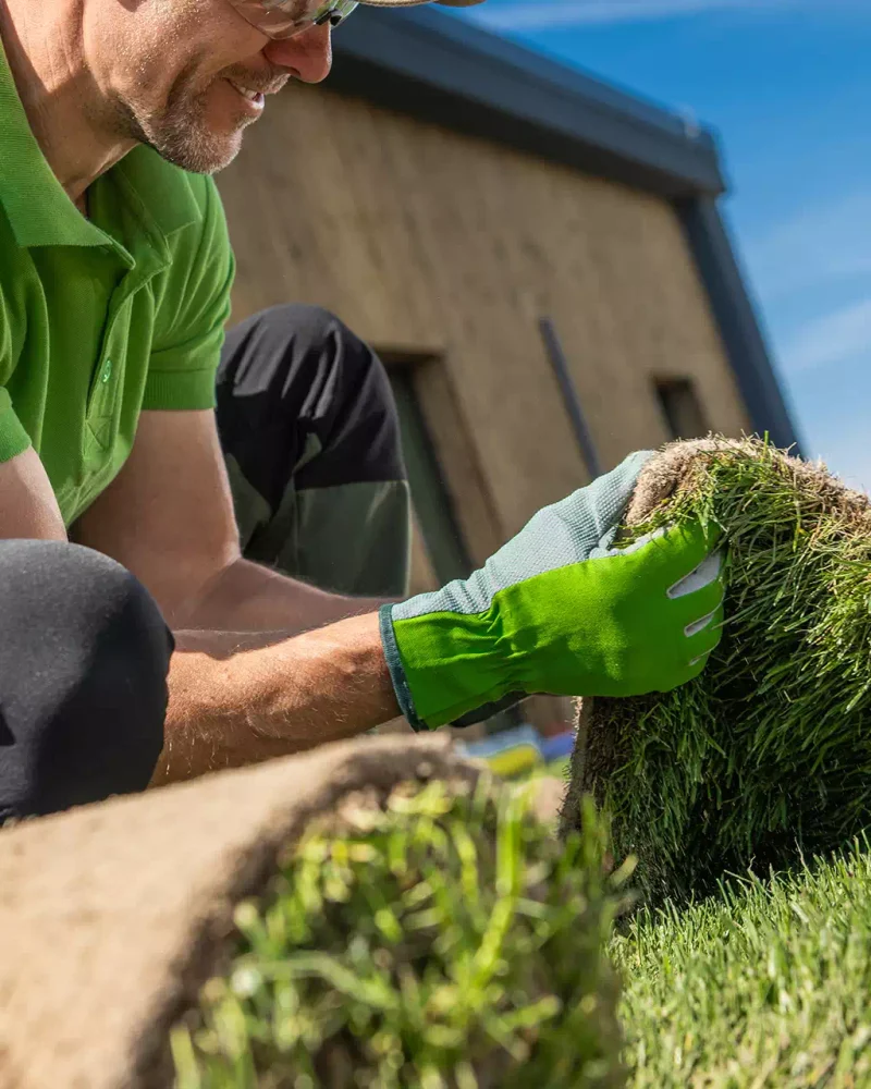 illustration-paysagiste (29)