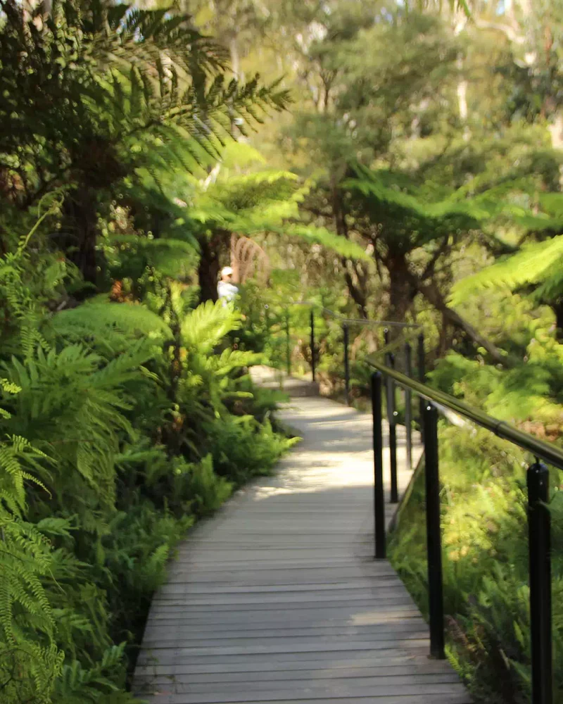 illustration-paysagiste (7)