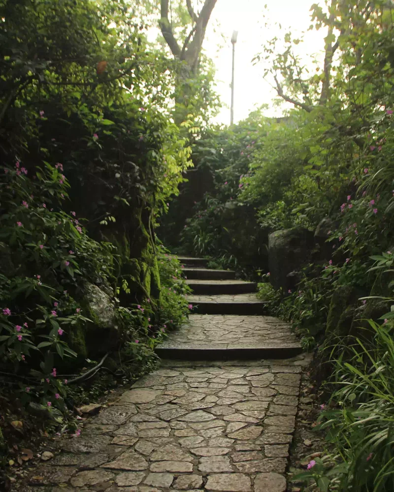 illustration-paysagiste (9)